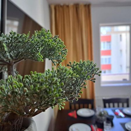 Aviliz Apartament Bușteni Dış mekan fotoğraf