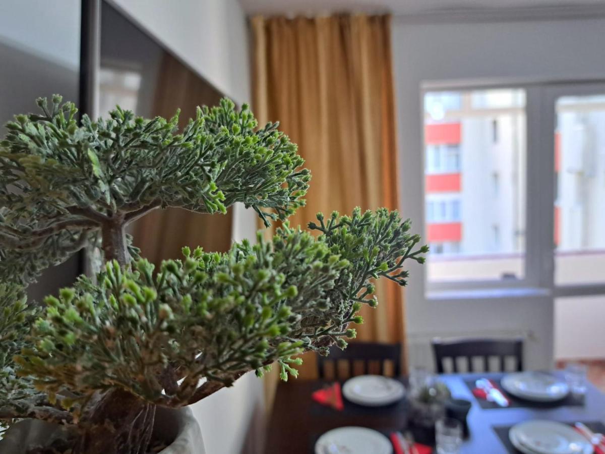 Aviliz Apartament Bușteni Dış mekan fotoğraf