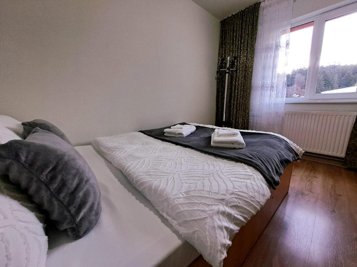 Aviliz Apartament Bușteni Dış mekan fotoğraf