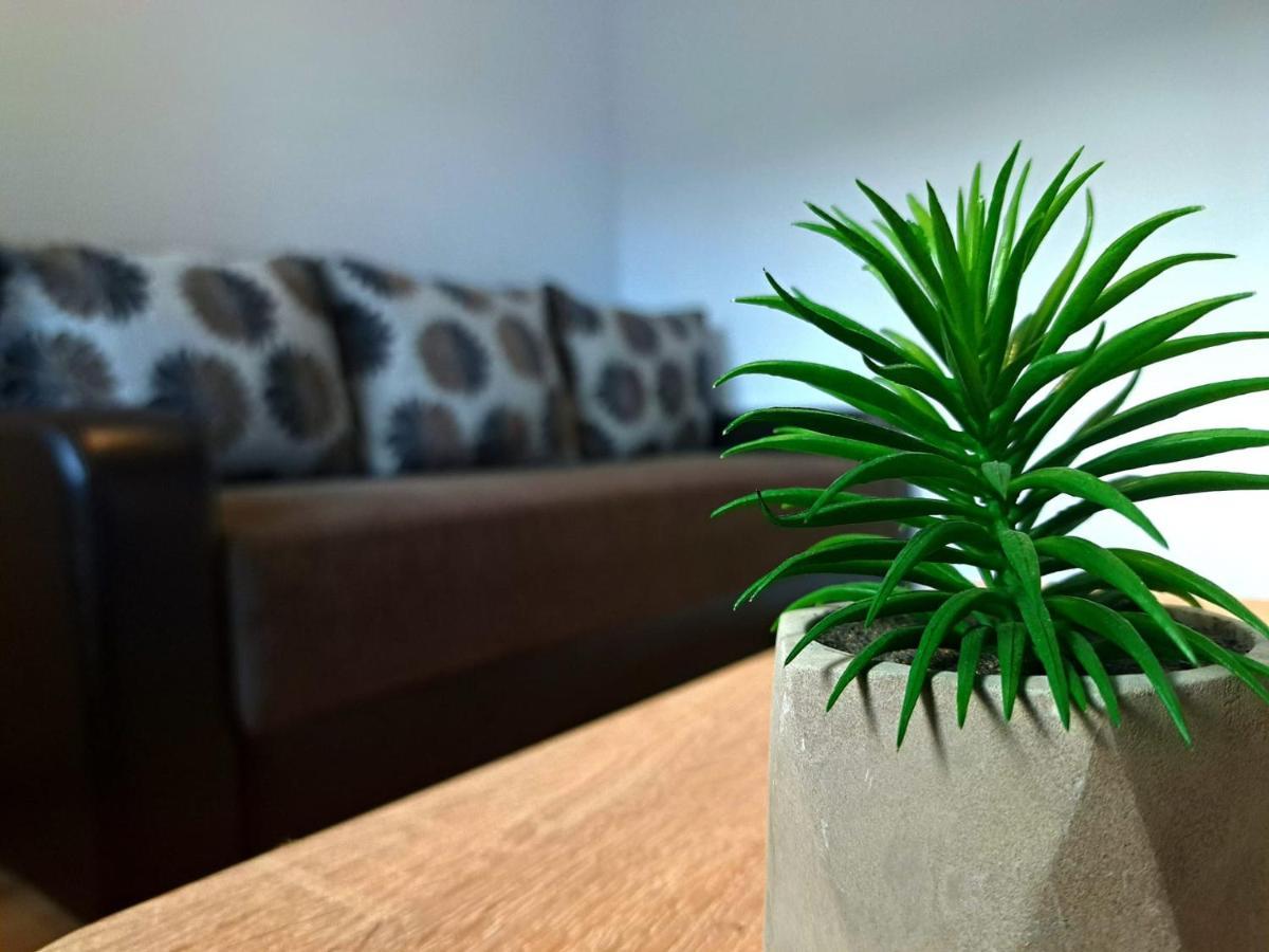 Aviliz Apartament Bușteni Dış mekan fotoğraf