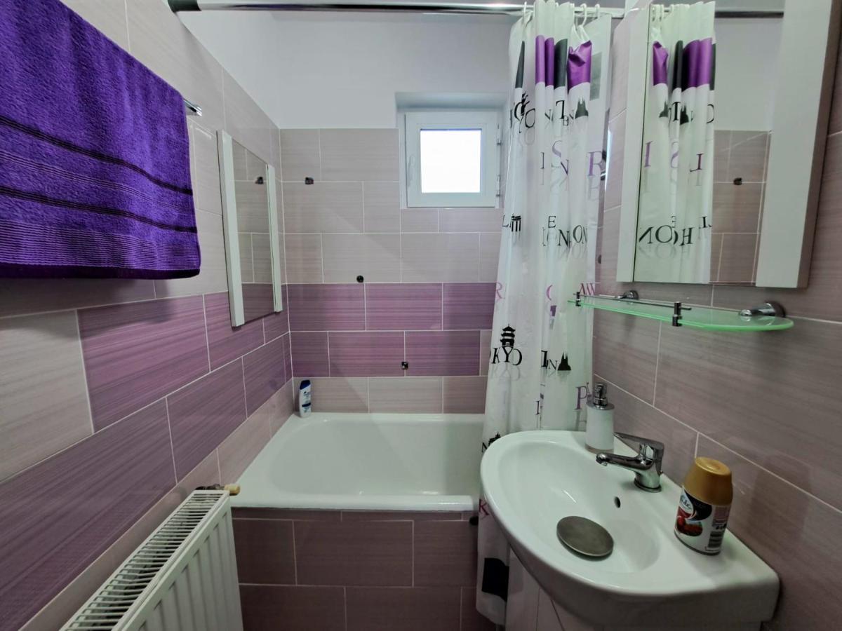 Aviliz Apartament Bușteni Dış mekan fotoğraf