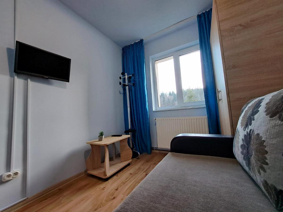 Aviliz Apartament Bușteni Dış mekan fotoğraf