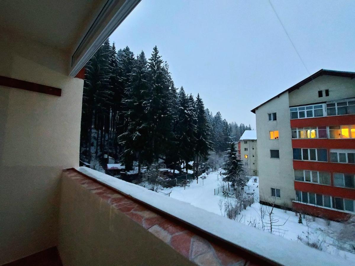 Aviliz Apartament Bușteni Dış mekan fotoğraf
