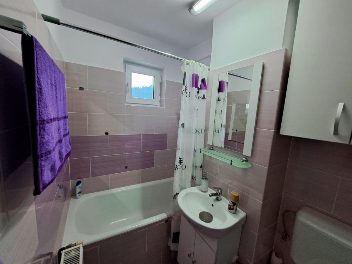 Aviliz Apartament Bușteni Dış mekan fotoğraf