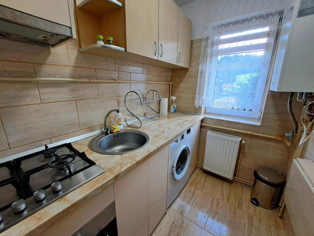 Aviliz Apartament Bușteni Dış mekan fotoğraf