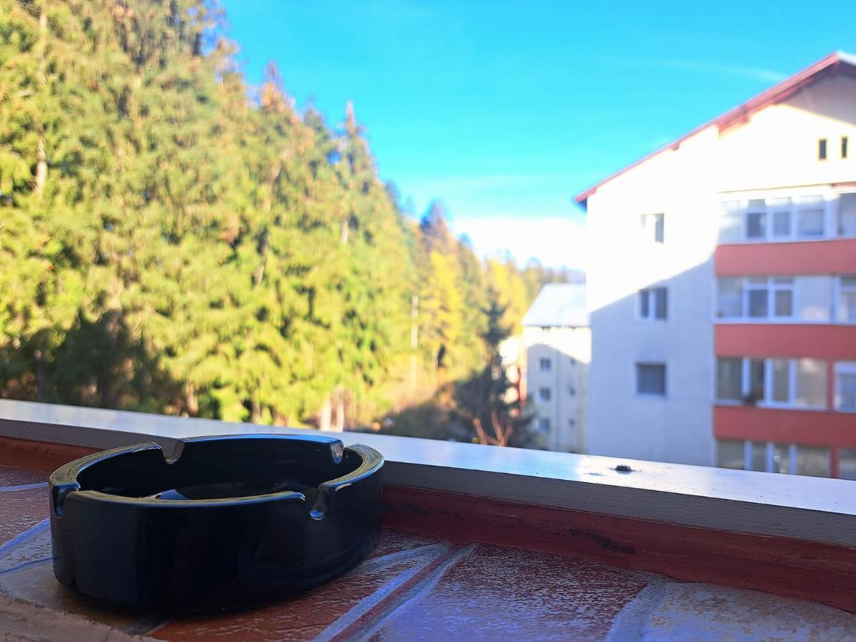 Aviliz Apartament Bușteni Dış mekan fotoğraf
