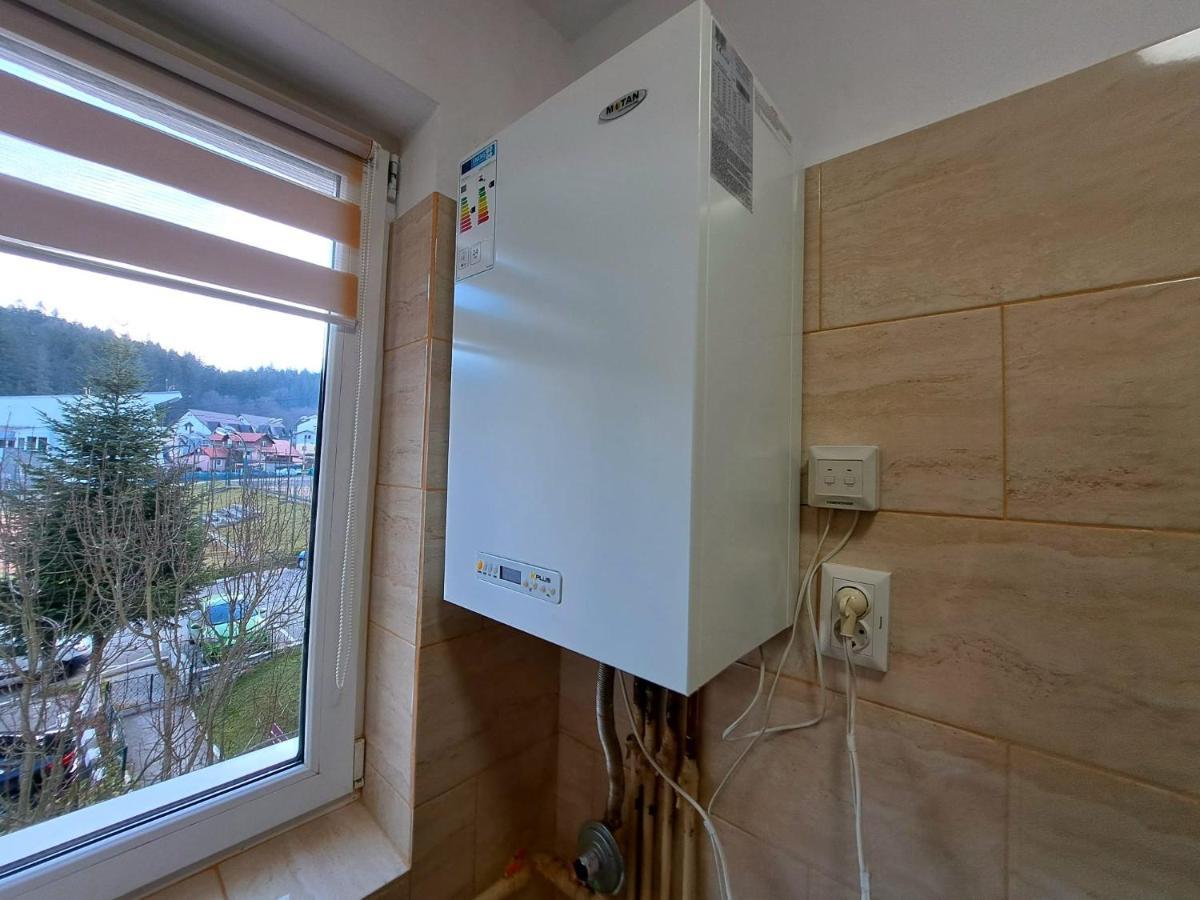 Aviliz Apartament Bușteni Dış mekan fotoğraf