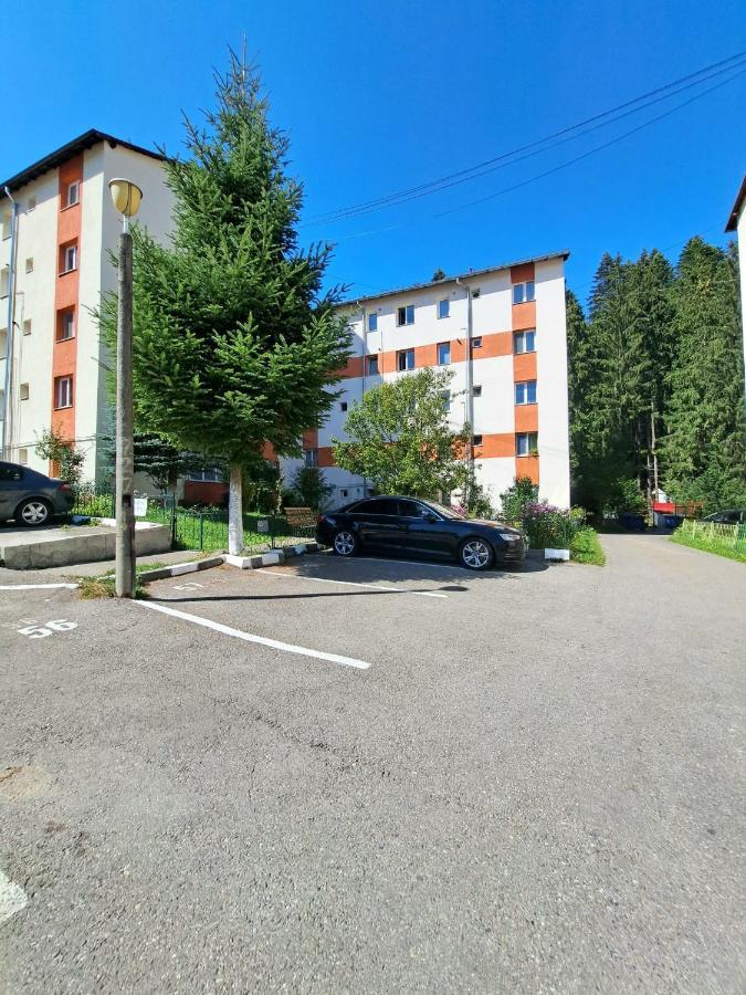 Aviliz Apartament Bușteni Dış mekan fotoğraf