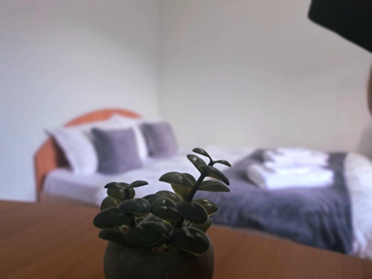 Aviliz Apartament Bușteni Dış mekan fotoğraf