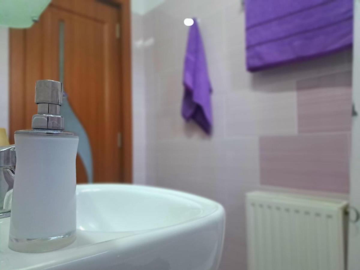 Aviliz Apartament Bușteni Dış mekan fotoğraf
